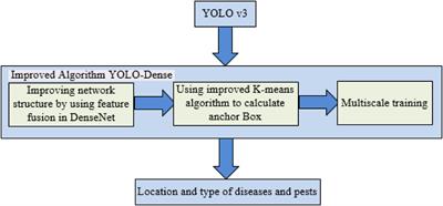 Tomato Anomalies Detection in Greenhouse Scenarios Based on YOLO-Dense